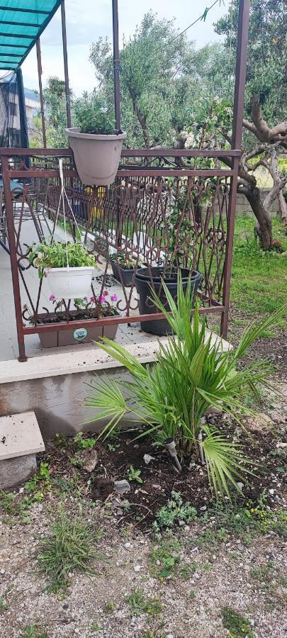 Apartman Duce Milka Βίλα Εξωτερικό φωτογραφία